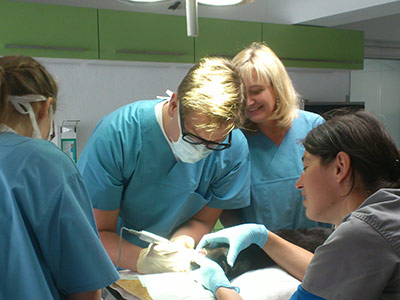 Der Zahnarzt bei der Arbeit